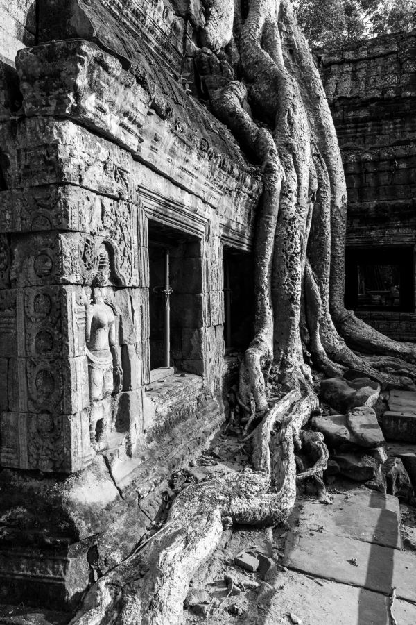 ta prohm-48-2.jpg